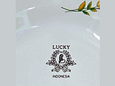 ca888亚洲城激光官网